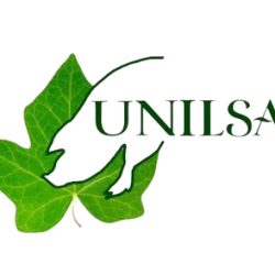 unilsa